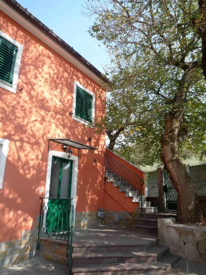 Ai 2 Olmi - Monolocali Nel Verde Múggia Exterior foto